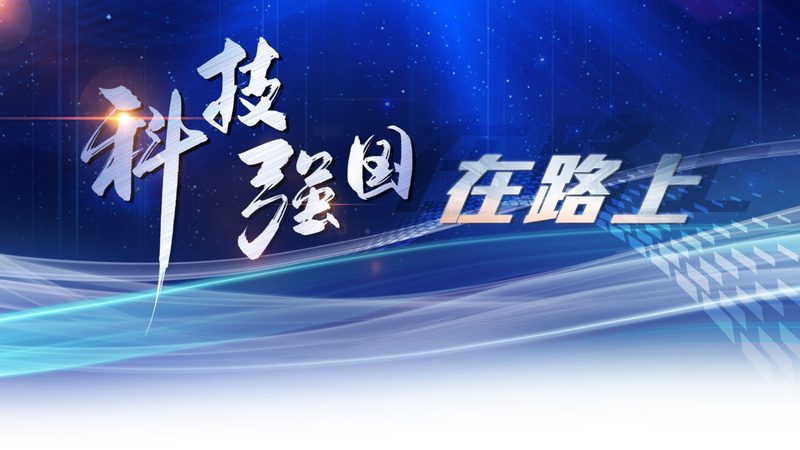 企业数字化转型的商业模式：类型与选择**