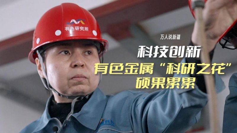 数据治理生命周期管理的核心要素与实施路径**